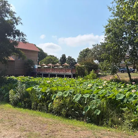 Kemping Mobil-home Proche Saint-Julien-en-Born